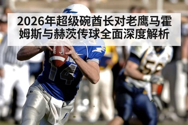 2026年超级碗酋长对老鹰马霍姆斯与赫茨传球全面深度解析